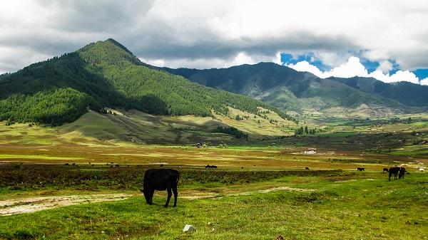 Les mesures écologiques engagées par le Bhoutan
